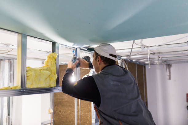 Best Spray Foam Insulation in Essex, IL