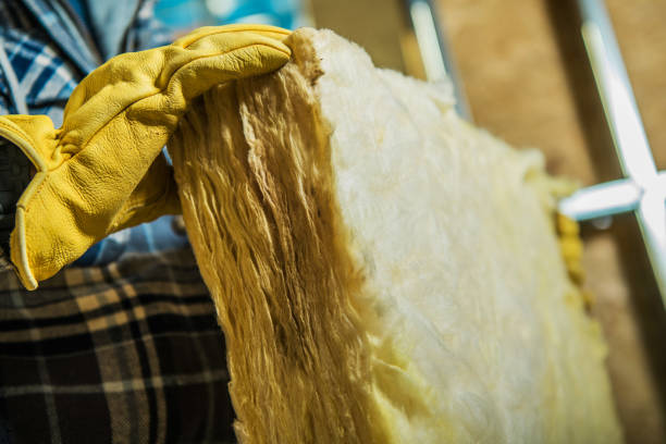 Best Residential Insulation in Essex, IL