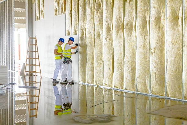Best Specialized Insulation Services in Essex, IL